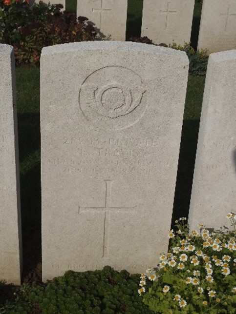 the white gravestone for Ernest travis inscribed with the badge of the regiment and his details with a cross below a plant is flowering at the edge of the stone