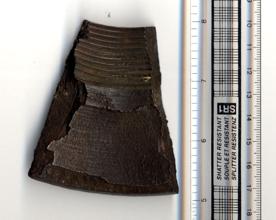 Photograph of the shrapnel with a ruler alongside