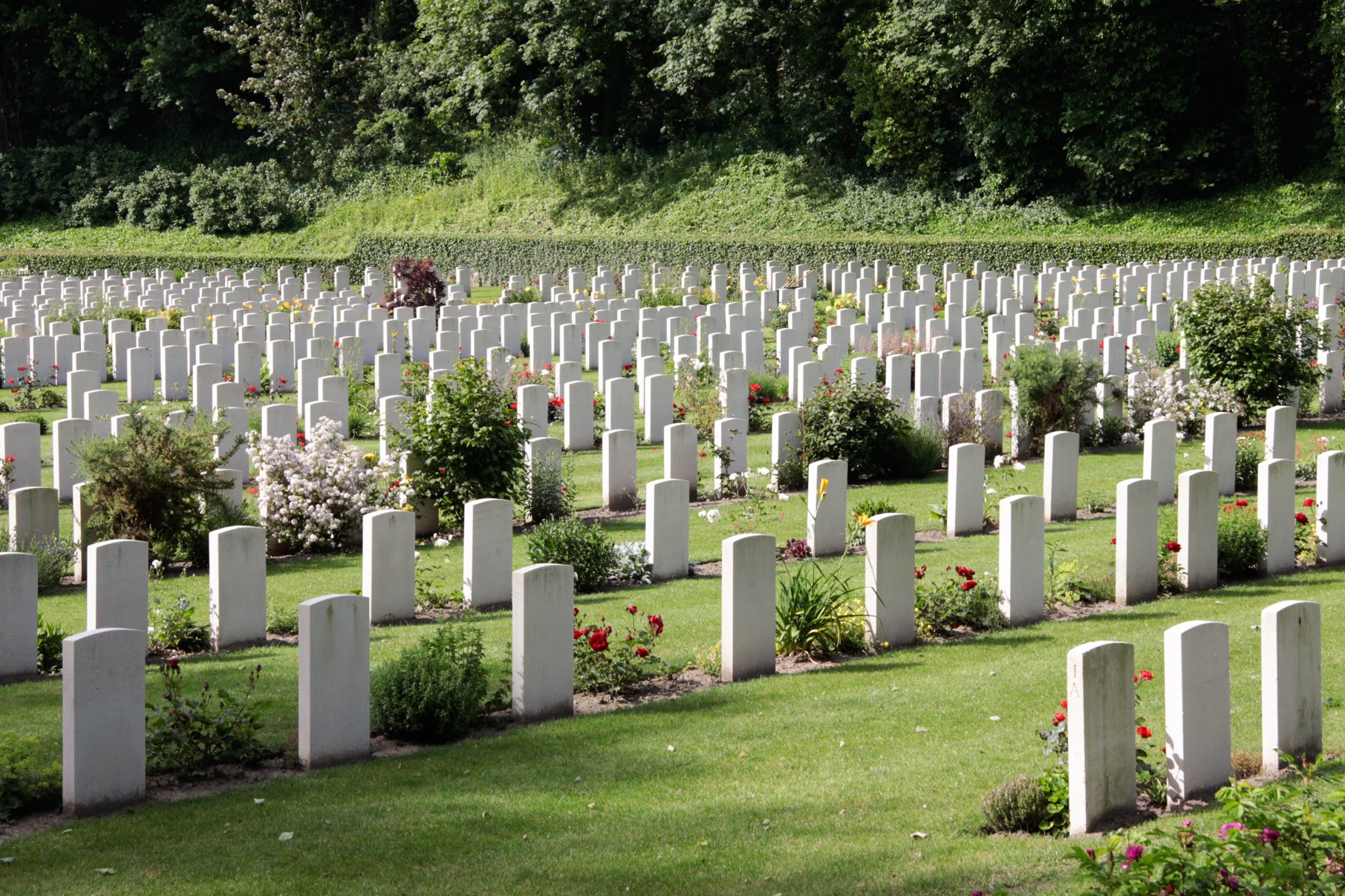 Photo of Coxyde Military Cemetery. Rows of white headstones on grass with a line of plants in front of each row.
