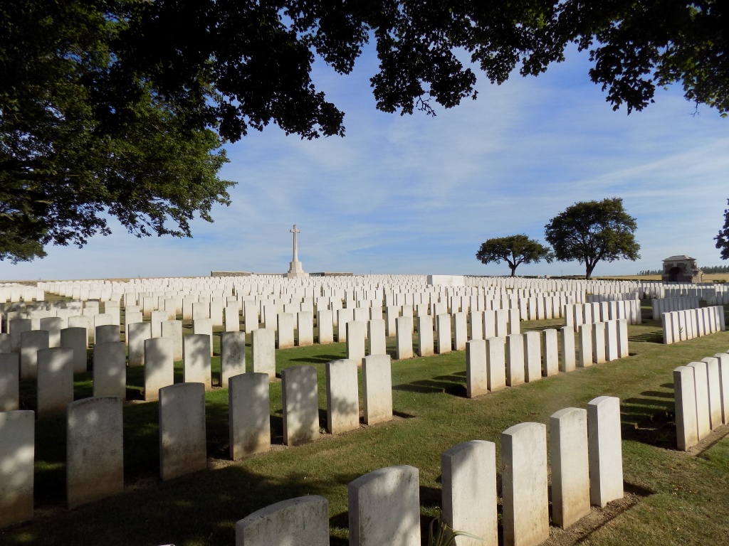 Rows of white headstones stand between areas of mown grass and a tree in the foreground provides shade
